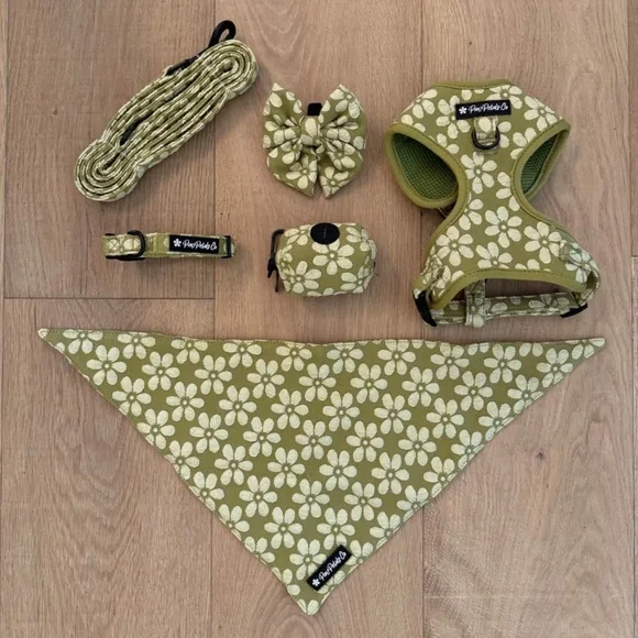 XS Dog Harness Set - Picture 2 of 3